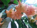20150930_072826