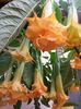 20150930_125936