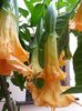 20150930_125946