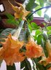 20150930_125958