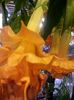 20151008_153622