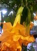 20151008_153654