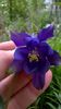 WP_20150427_18_47_50_Pro