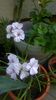 WP_20150909_10_17_43_Pro