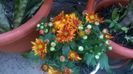 WP_20150909_10_16_14_Pro