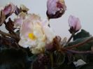 IMG_20151003_130446