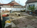 DSCN1027