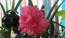 IMG-20151010-WA0008