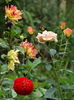 DSC00633