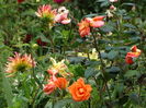 DSC00637