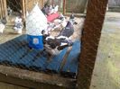 IMG_20151010_155428