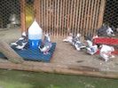 IMG_20151010_155438