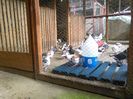 IMG_20151010_155526