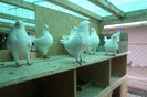 SAM_7189