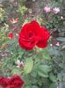 20151010_142514