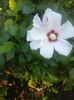 20150904_094207