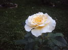 DSC06947