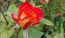 20151010_160051