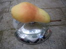 IMGP9038