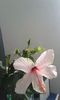 IMG-20151011-WA0002