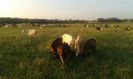 20151007_182611[1]