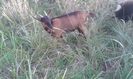 20151007_182521[1]