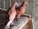 IMG_20150902_143830