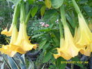 SAM_0759