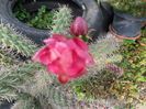 SAM_1521