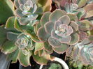 SAM_1538