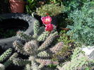 SAM_1555