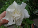 SAM_1626