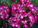 DSC00744