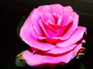 DSC01049