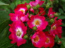 DSC01453