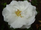 DSC01480