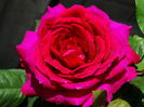 DSC02064