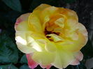 DSC02153