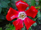 DSC02444