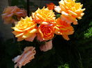 DSC03219