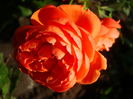 DSC05779