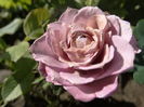 DSC06045