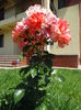 DSC08770