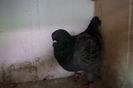SAM_7362