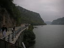 DSCN3011