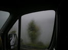 DSCN3059