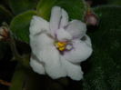 DSCN0657