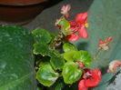 DSCN0658