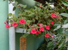 DSCN0665