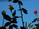 DSCN0670